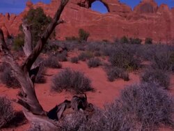 Arch rock formation in Arches National Park, Moab, Utah Stock Footage