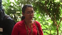 CLEAN : Alec Baldwin and Indigenous leaders speak and protest at the UN News Clip