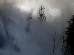 HD Flood Waves Destroying Valley (Slow Motion) Stock Footage