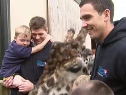 Steven Gerrard & Stuart Downing at Safari Park News Clip