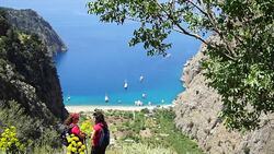 Walking in the Butterfly Valley Stock Footage