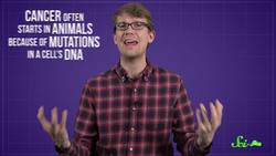 Do Plants Get Cancer? Instructional Video