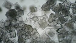 Salt crystallizing UHDV Stock Footage