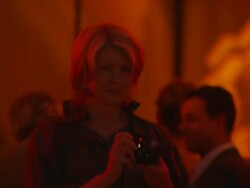 Martha Stewart shooting photographs of guests at the 9th Annual Tribeca Film Festival - Vanity Fair Party at New York NY. (Footage by WireImage Video/GettyImages) Stock Footage