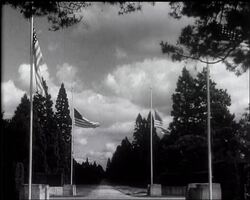 In Memoriam: News Clip