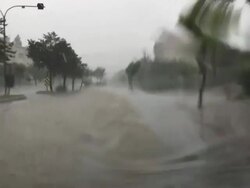 Torrential Rain Stock Footage