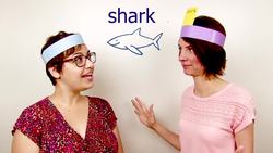 Forming Yes/No Questions Instructional Video