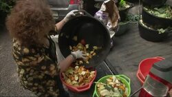 Midwife turns monkey rescuer at shelter that now houses 160 primates News Clip