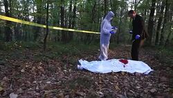 Crime scene investigation Stock Footage