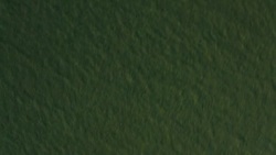 Aerials of the San Francisco Bay area News Clip