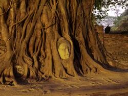 Wat Pra Mahatat Stock Footage