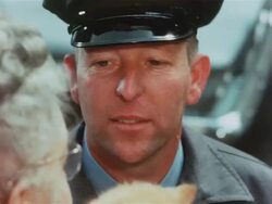 Montage: Missing cat found on moving truck Stock Footage