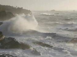 Rugged Oregon Coast Stock Footage