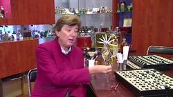 A repository of humanity's olfactory memory Instructional Video