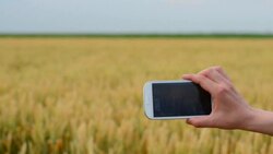 Agribusiness. Stock Footage