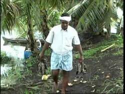 Rat meat is considered a deliacy in Kerala News Clip