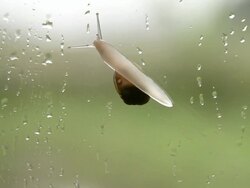 Slow Concept Stock Footage