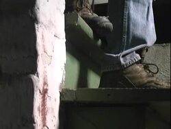 Down to the cellar Stock Footage