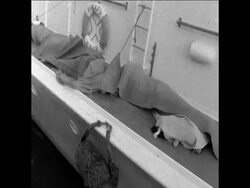 SYND 20 8 68 PLANE CRASH BODIES Instructional Video