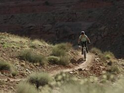 Wide panning shot of dog running with mountain bike / Moab, Utah, United States Stock Footage