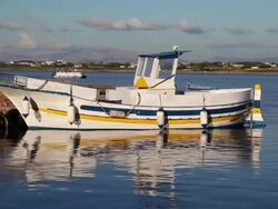 Mozia (Motya), ship in the dock of the Mozia island Stock Footage