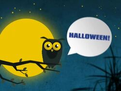 Lonely Owl In The Halloween Night Stock Footage