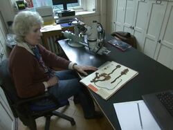 ATMOSPHERE: Kingdom of Plants 3D Interview at  Kew Stock Footage