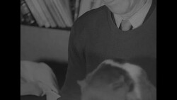 Baby Kodiak bear fed in Denmark News Clip