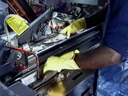 Fish Processing Stock Footage