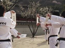MS Man doing jumping kick and breaking wooden board with his hand  / Kyungkido, Bucheon, South Korea Stock Footage