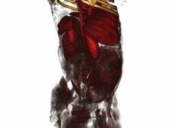 CGI of a three-dimensional reconstruction of a CT scan of a woman pregnant with a 31 week fetus Stock Footage