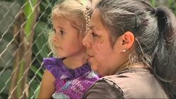 Two clouded leopard cubs made their public debut at the Houston Zoo Thursday.  The pair delighted crowds by climbing trees, wrestling, turning and jumping throughout their habitat. (Sept. 11) News Clip