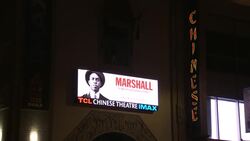 Hollywood premieres for 'Marshall,' 'Blade Runner 2049' cancelled after Las Vegas attack Instructional Video