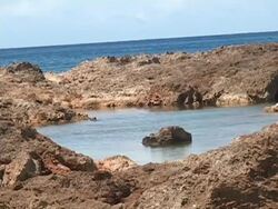 Rock in the middle of a tide pool. Stock Footage