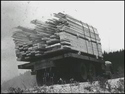 Montage: 1950 Chevrolet truck hauling lumber Stock Footage
