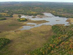 WS ARIEAL View of Wooded area and autumn color with small lake / Maine, United States Stock Footage