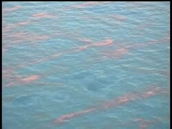Crews were poised to begin setting fire to oil leaking from the site of an exploded drilling rig in the Gulf of Mexico on Wednesday, a last-ditch effort to get rid of it before it reaches environmentally sensitive marshlands on the coast. News Clip