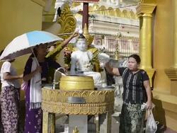 MS Shot of women pouring water on Buddha likeness in shwedagon pagoda / Yangon, Yangon Division, Myanmar Stock Footage