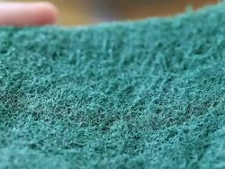 Sponge Stock Footage