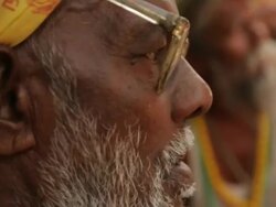 Close-up of a sage, Rishikesh, Uttarakhand, India Stock Footage