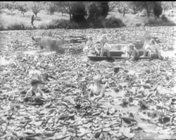 FEMININE INTEREST News Clip