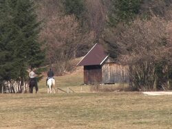 HD: Horseriding In Nature Stock Footage