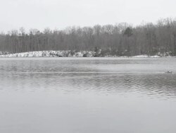 Lovely Lake Stock Footage