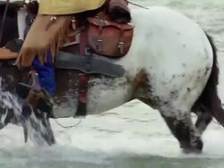 Cowboy on horseback Crossing river Stock Footage