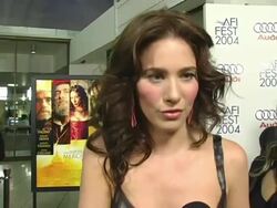 2004 AFI Film Festival 'Merchant of Venice' Arrivals Stock Footage