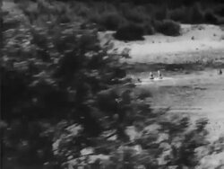 Kayak Race in Spain Stock Footage