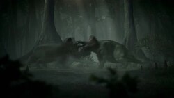 Two triceratops fight in a prehistoric forest in a computer generated animation. Stock Footage