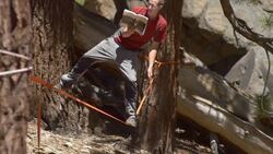 A man balancing on a slackline while reading a book. - Slow Motion Stock Footage
