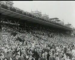 FAVOURITE WINS GRAND PRIX News Clip