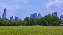 Central park Stock Footage